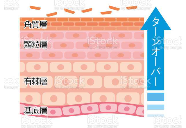 ターンオーバー