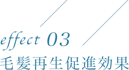 毛髪再生